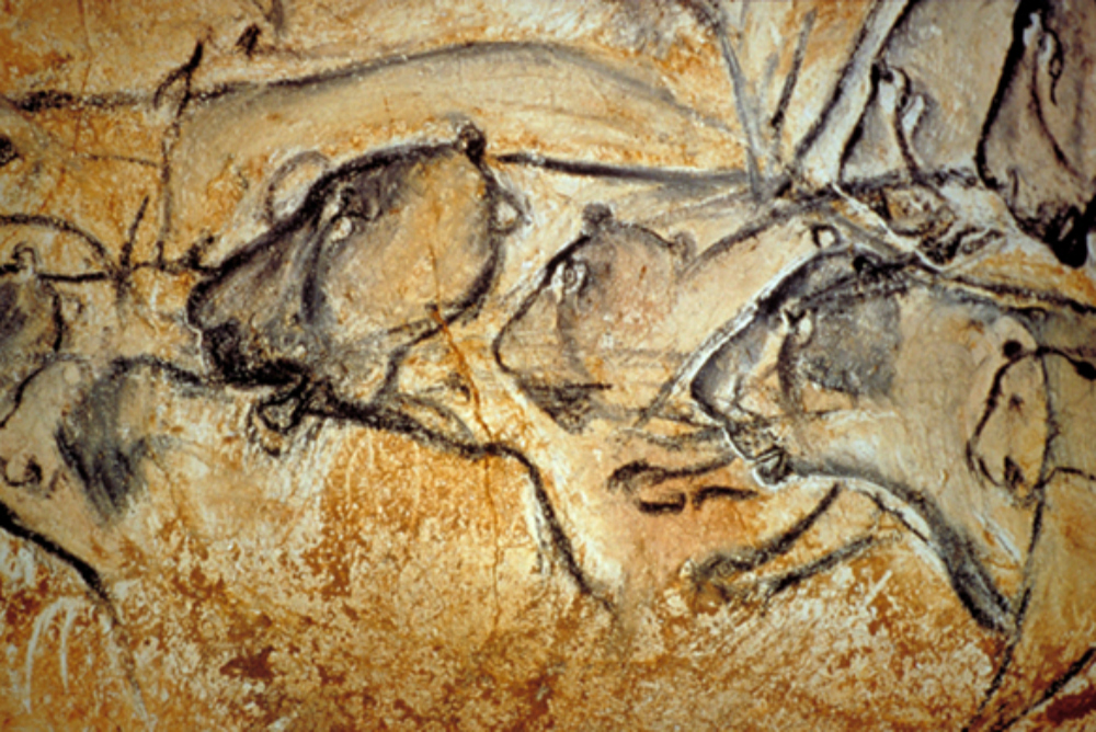 Lions at Chauvet Cave