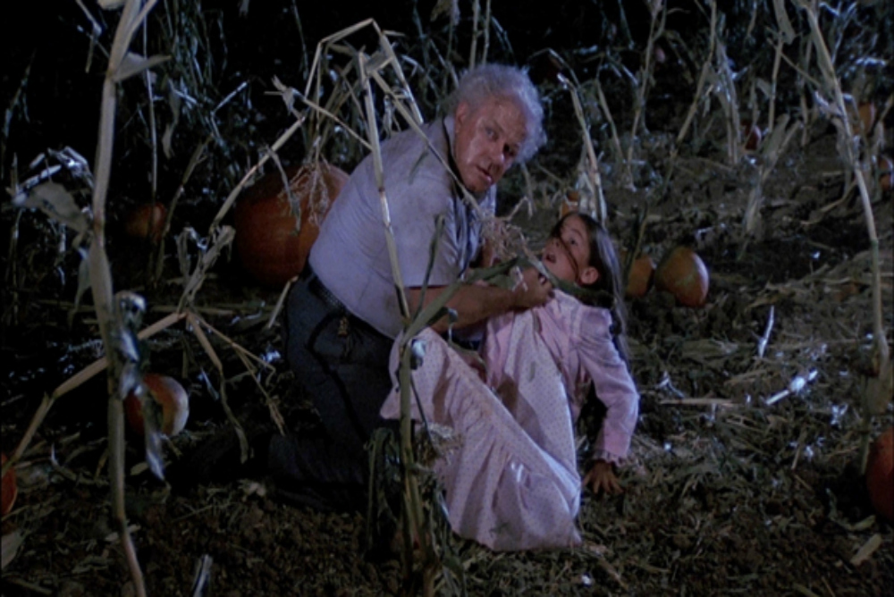 dark-night-of-the-scarecrow-1981