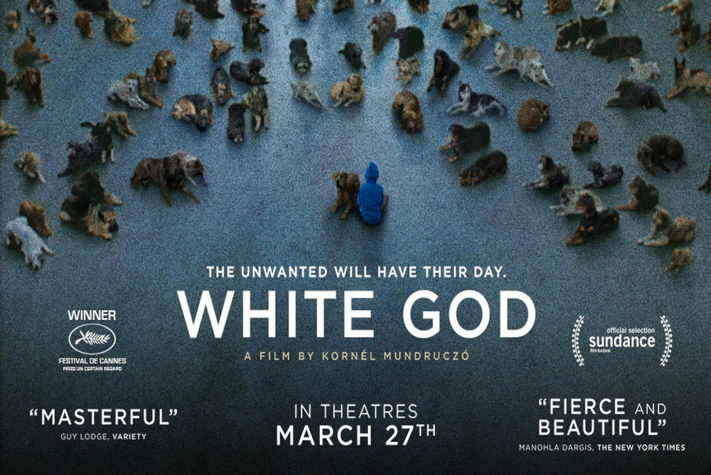 7. White God, poster