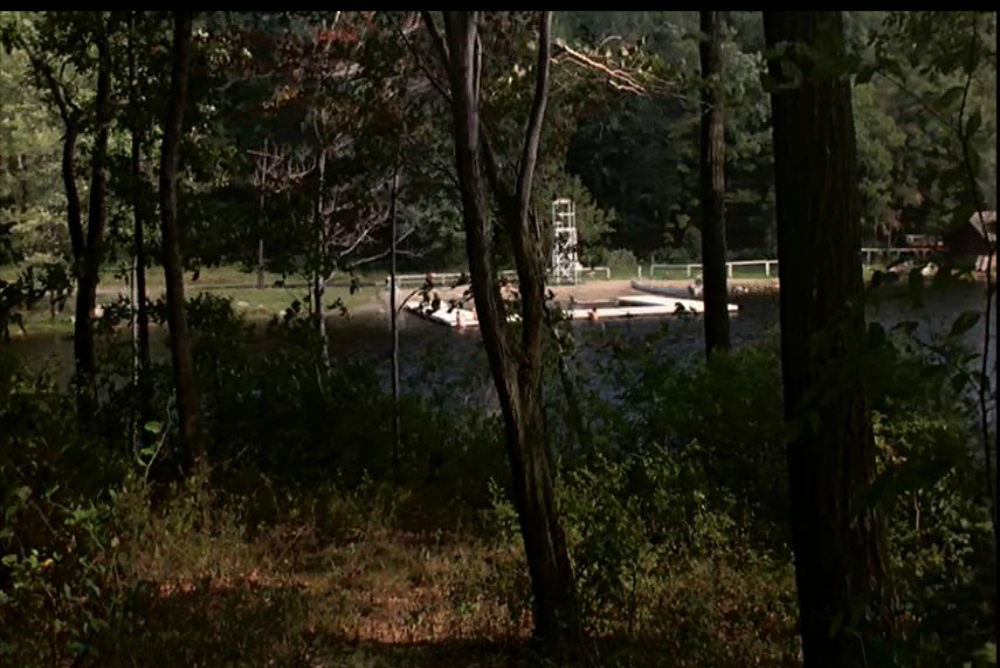 Fig. 1. Friday the 13th (1980)