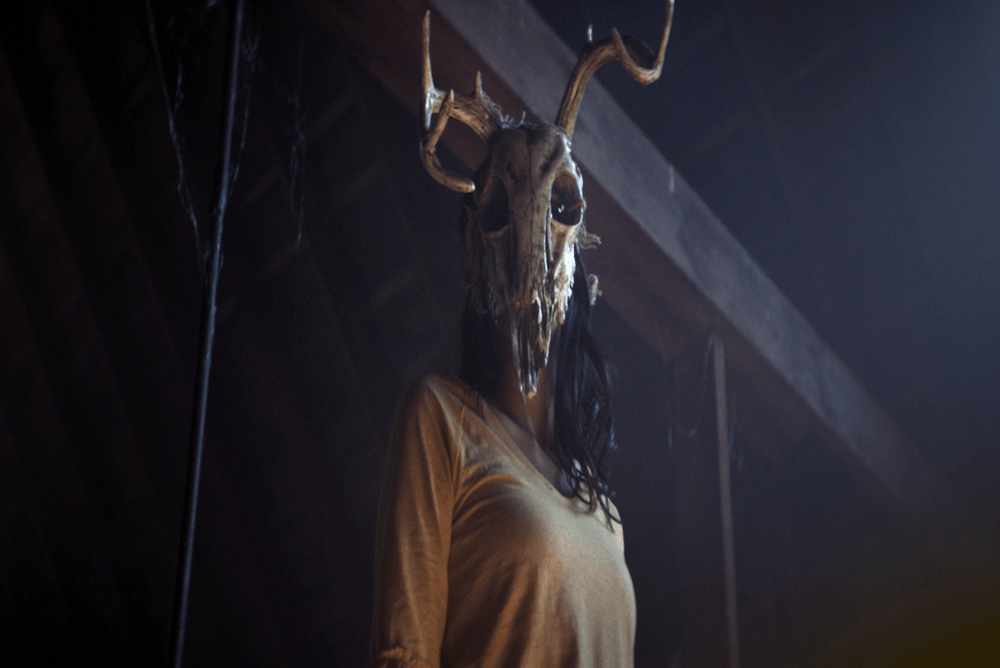 woman wearing a mask with horns